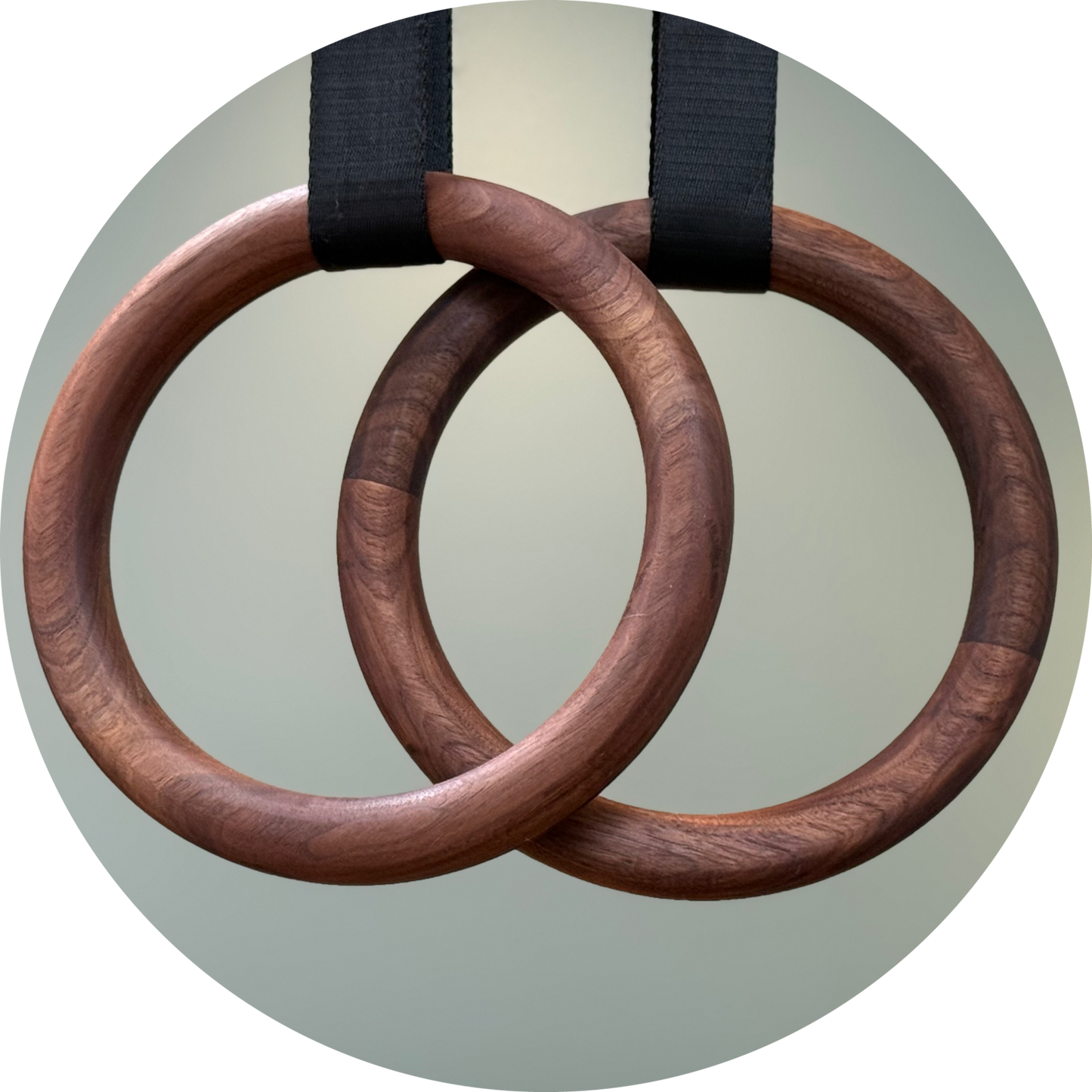 Tree Rings