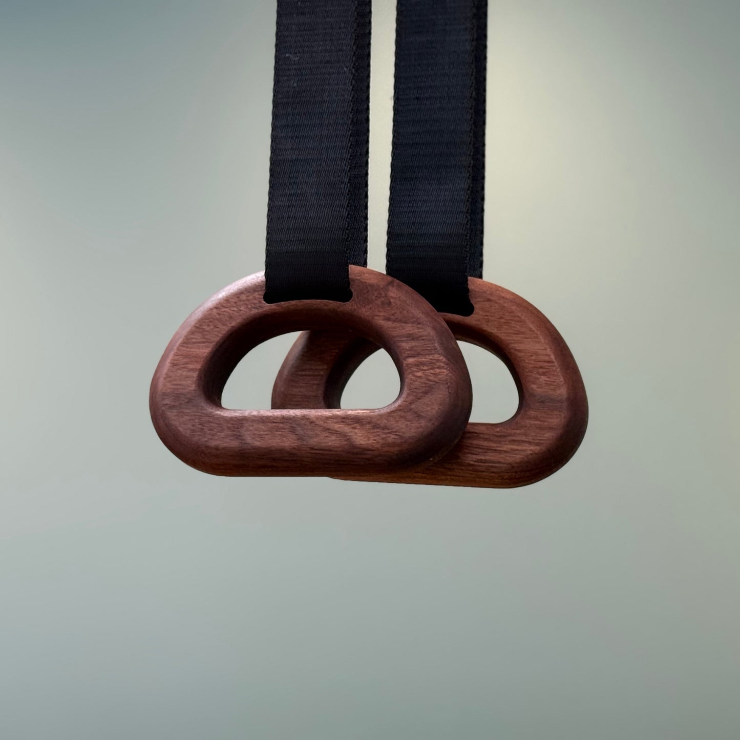 Half Moon Rings (Suspension)